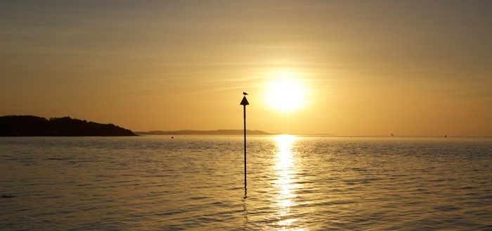 A bird perched on a post at sunset over calm water