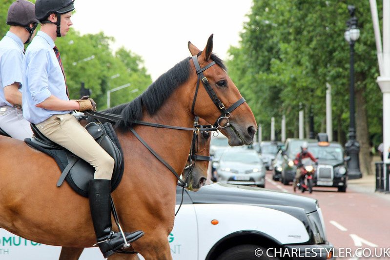 Horses down the Mall