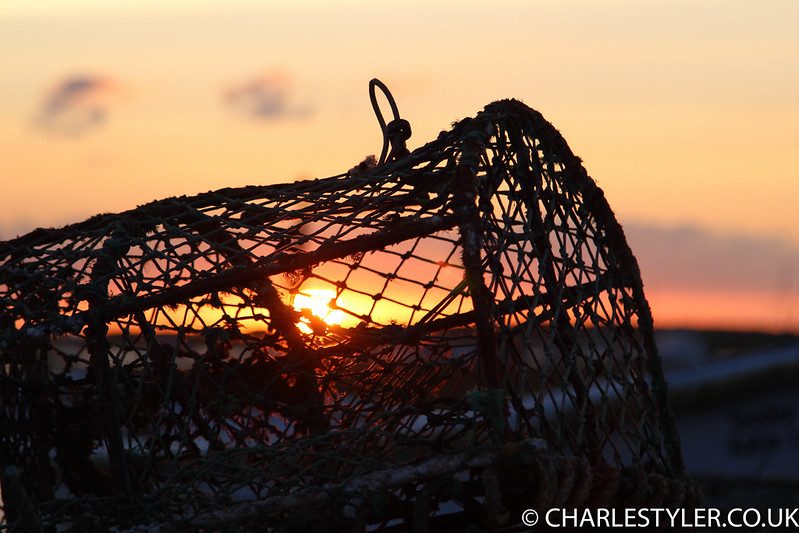 Close-up detail of the sunset light