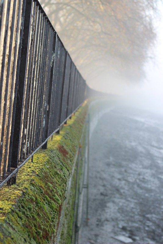 Into the Mist, Wandsworth Park