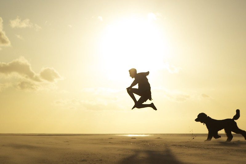 Ninja Jump
