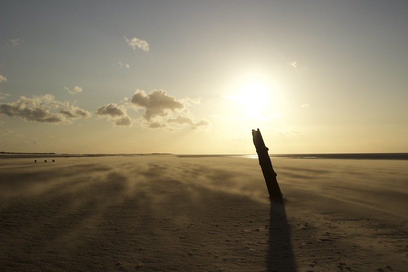 Wind Blown Sunset