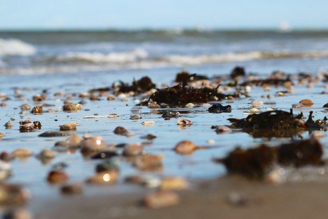 And finally – Ryde Sands