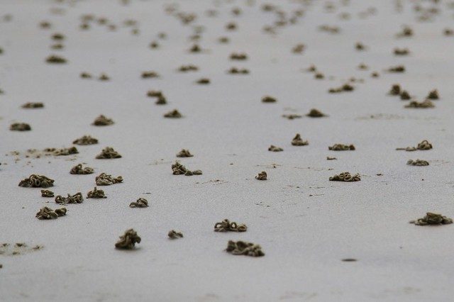 Sand Swirls