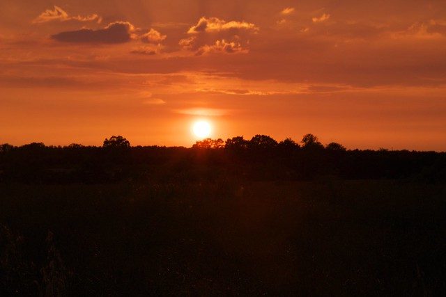 Week 2 — Sunset Subjects