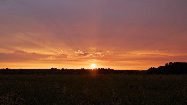 Field Sunset Rays