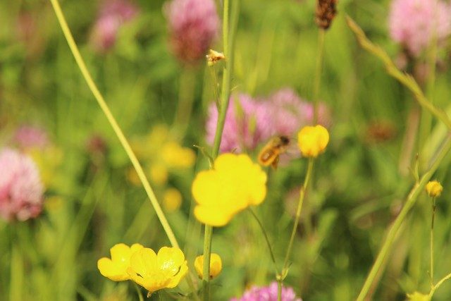 Out of Focus Issues