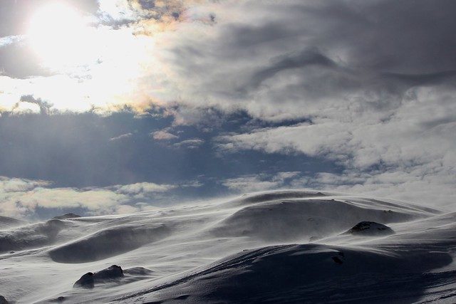 Windswept Slope