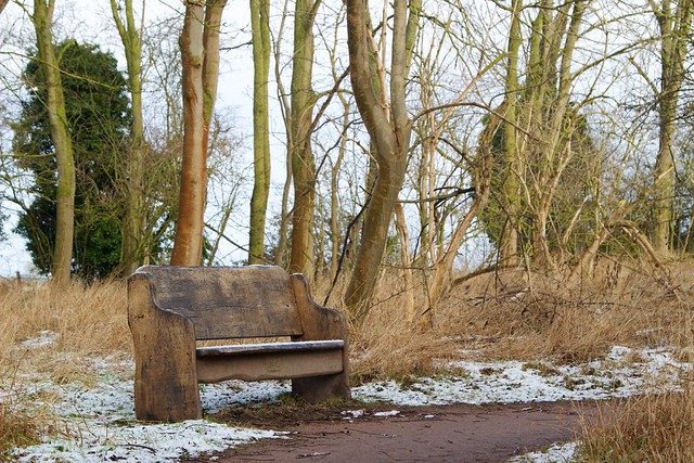 Week 5 — Winter Walk