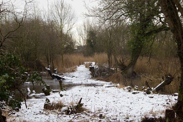 Snow Dusted Bogland