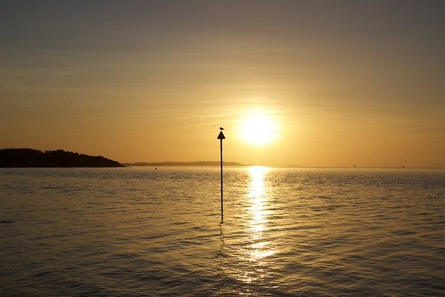Week 6 — Island Life