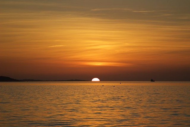 Half Sun
